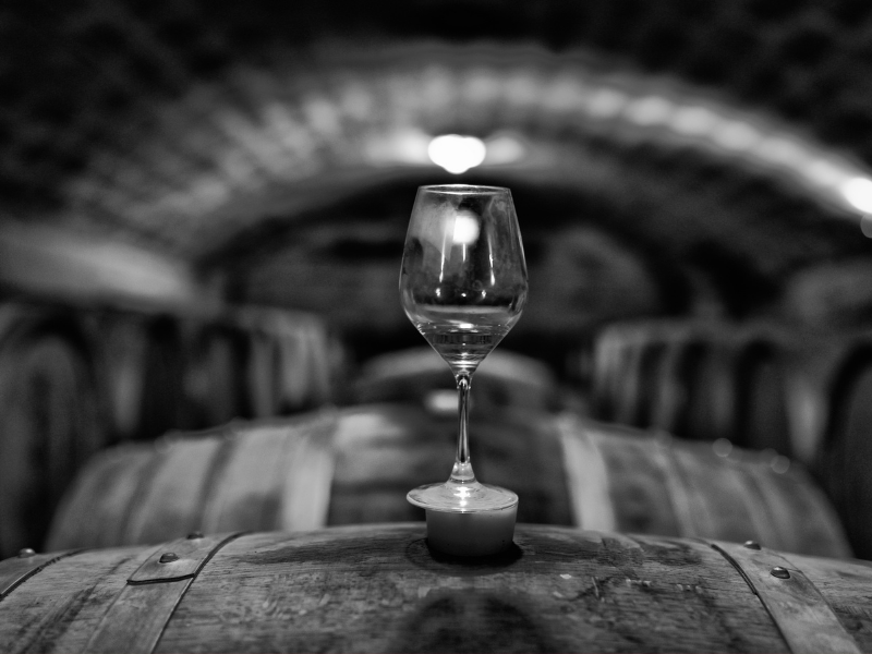 Exploring the World of Wines: Best Bottles to Store in Your Wine Cooler