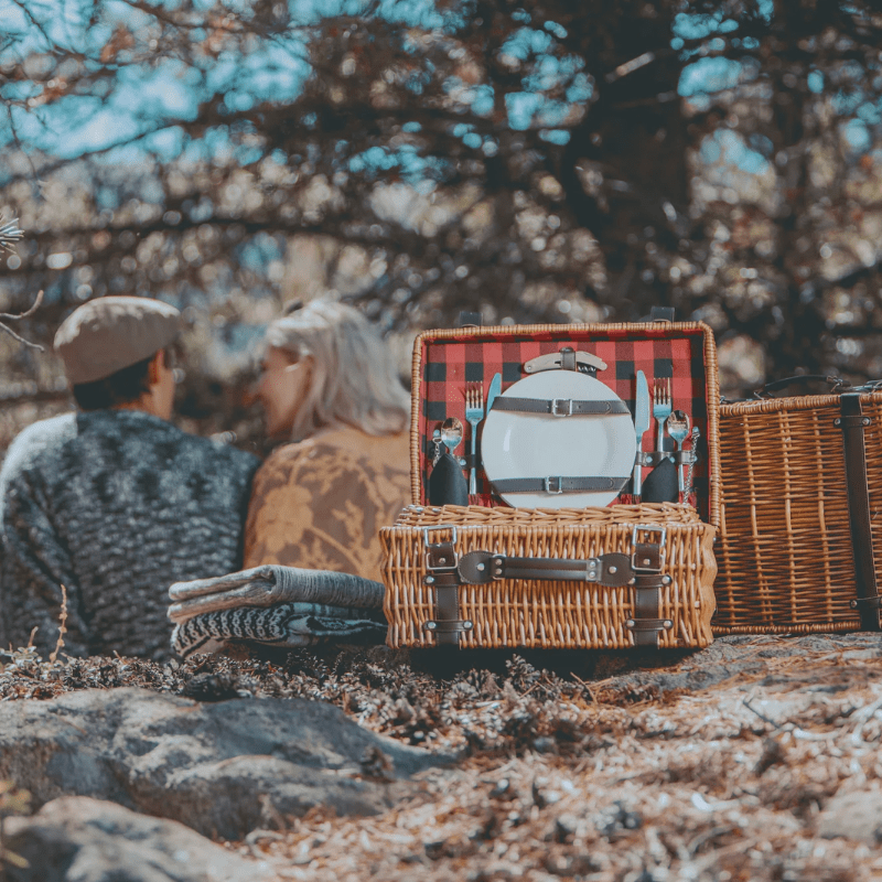 Picnic Time Champion Picnic Basket - Red & Black Buffalo Plaid Pattern - Perfect for outdoor activities, couple picnicking outside